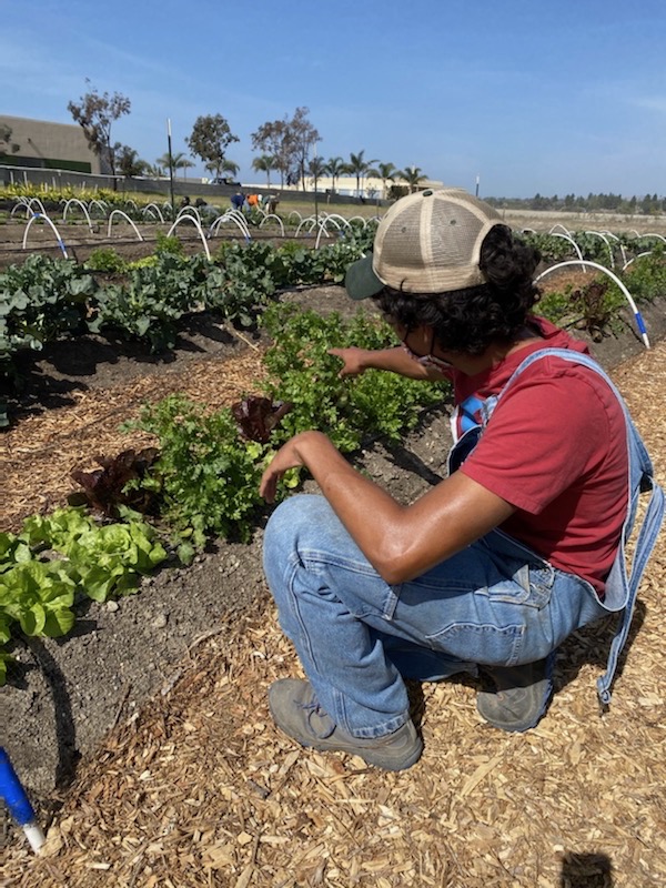 Plant research and agricultural science